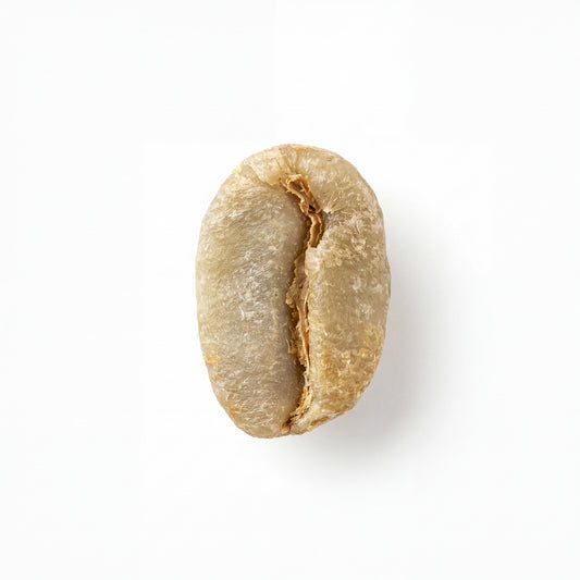 Ethiopian Yirgacheffe Danche (2025)