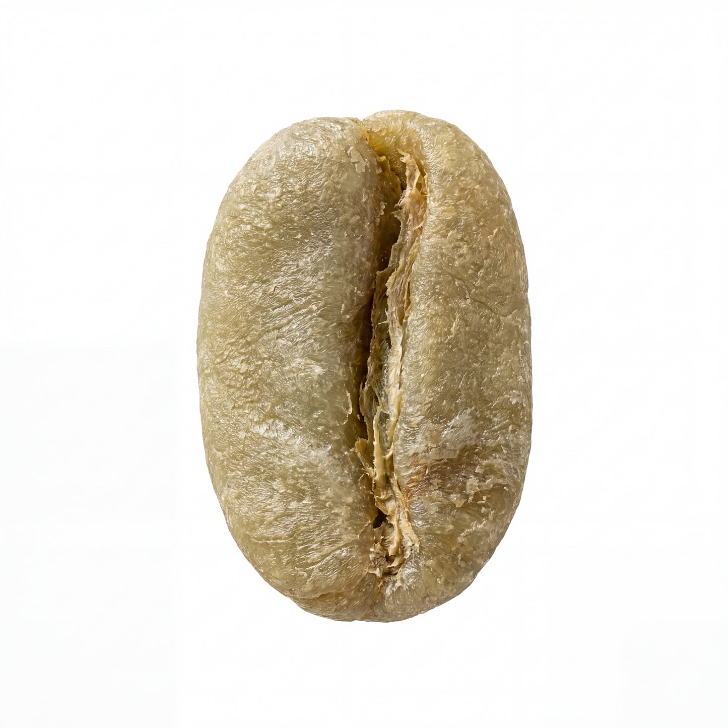 Guji Uraga Washed Grade 1