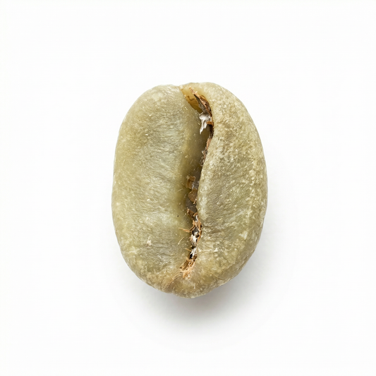 Ethiopian Yirgacheffe Tulisi (2024)