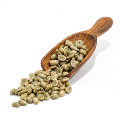 Ethiopian Sidamo G2 Washed (Kerchanshe Adola)(2025)