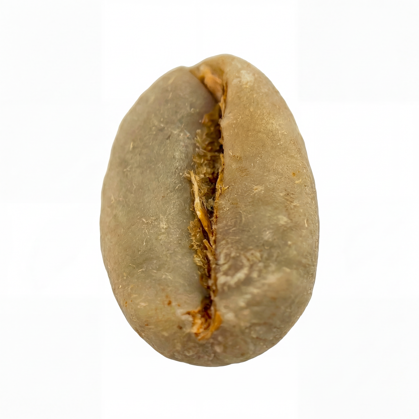 Ethiopian Sidamo G2 Washed (Kerchanshe Adola)(2025)