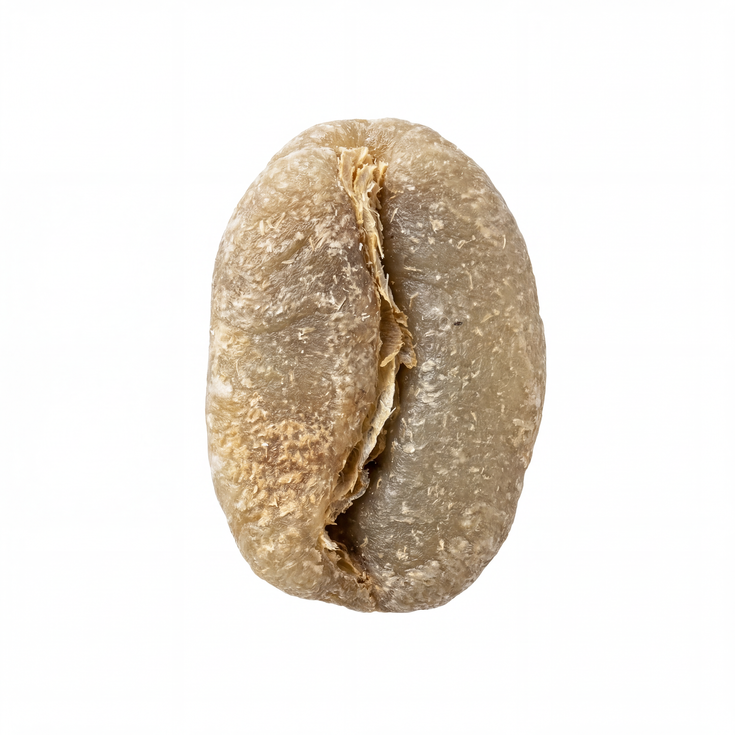 Yirgacheffe Chelbesa Washed Grade 2 (Organic certified)