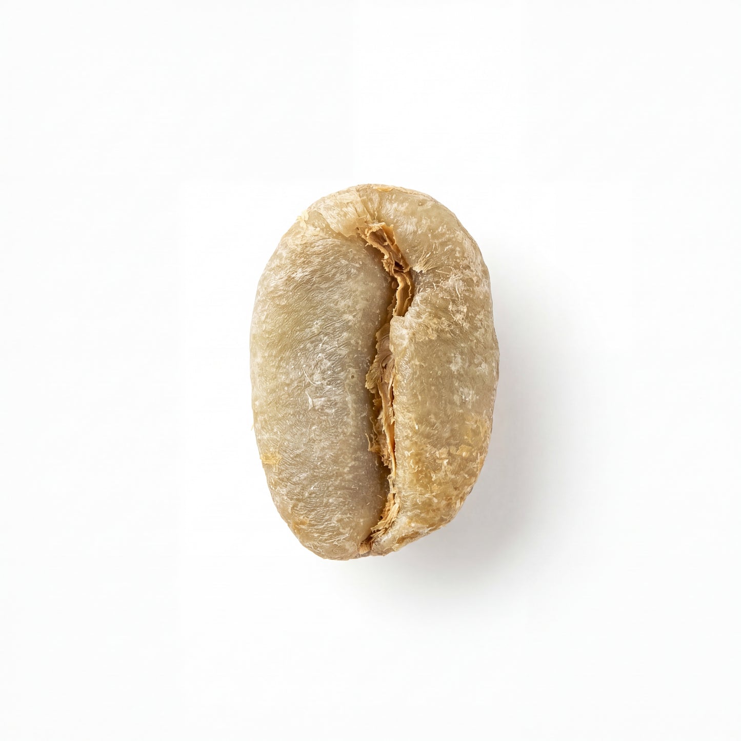 Ethiopian Yirgacheffe Danche (2025)