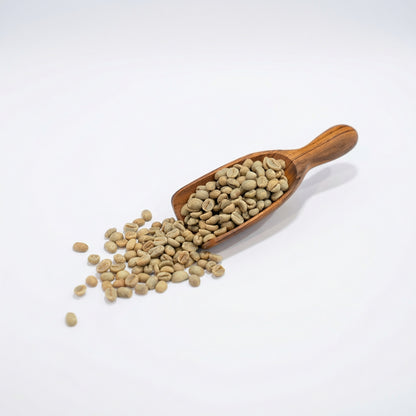 Ethiopian Yirgacheffe Danche (2025)