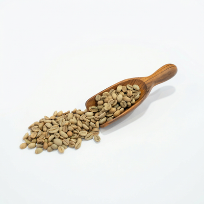 Ethiopian Djimmah G4 Natural