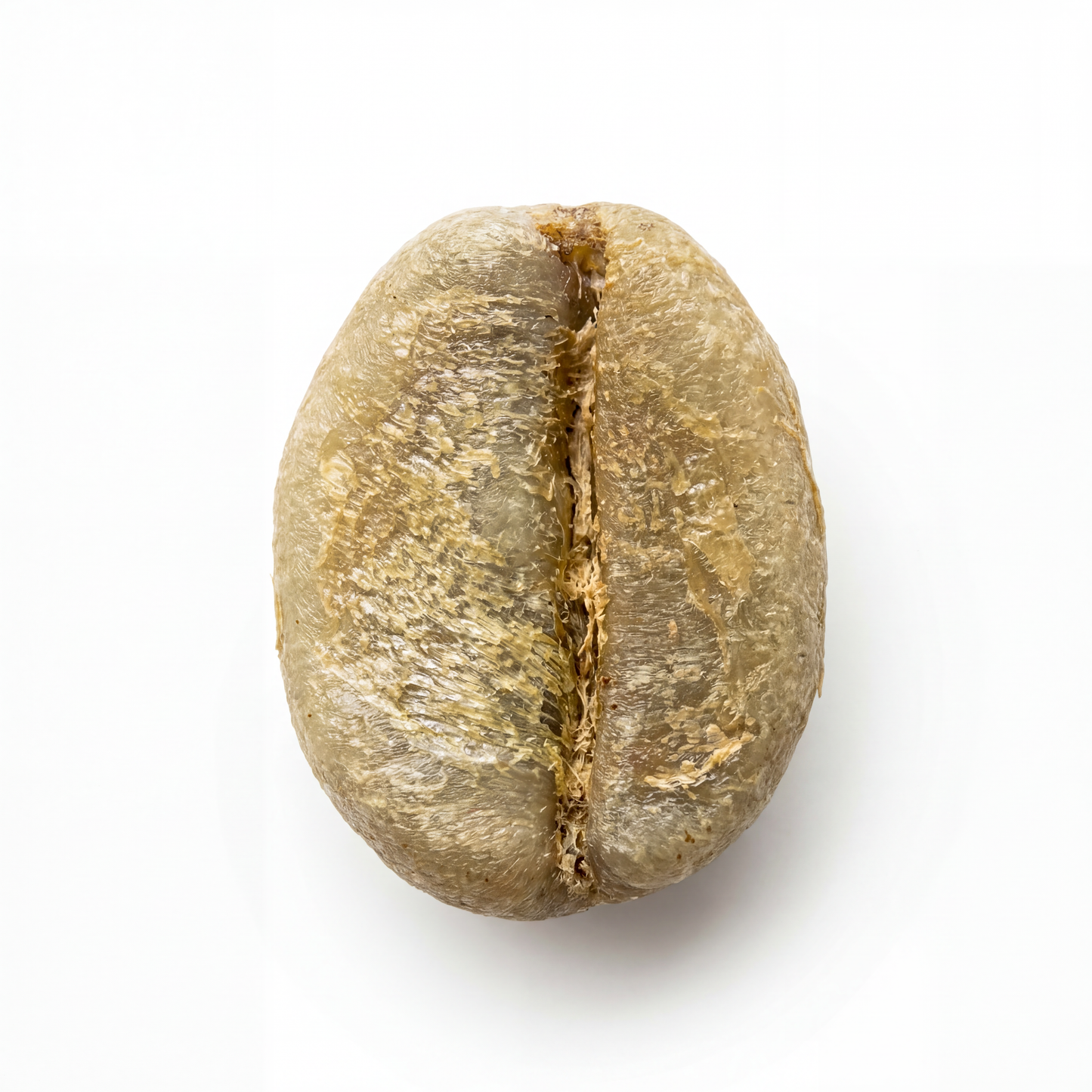 Ethiopian Djimmah G4 Natural