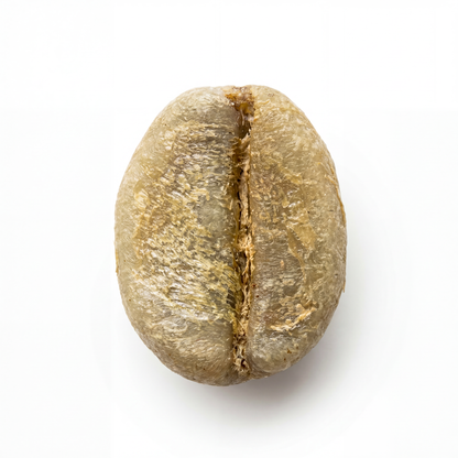 Ethiopian Djimmah G4 Natural