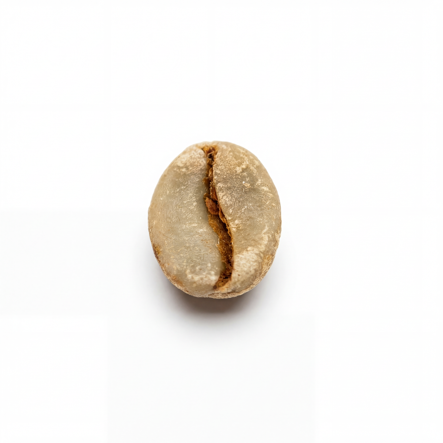 Ethiopian Yirgacheffe Gotiti Moki