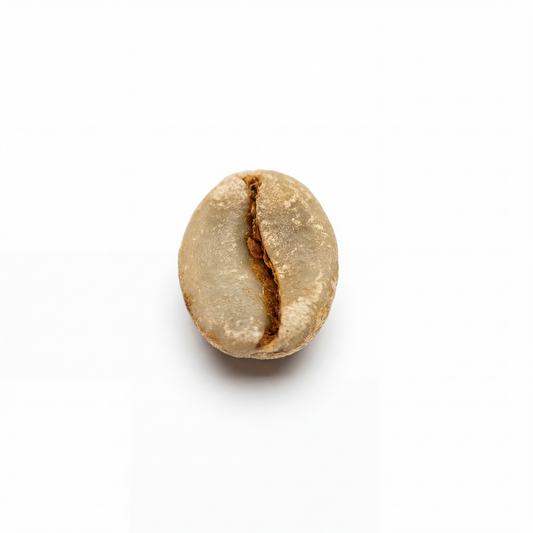 Ethiopian Yirgacheffe Gotiti Moki