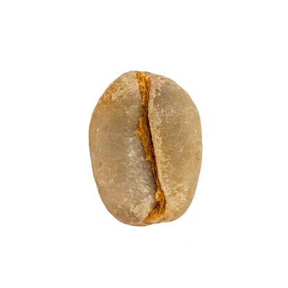 Ethiopian Yirgacheffe Rachia Natural (2024)