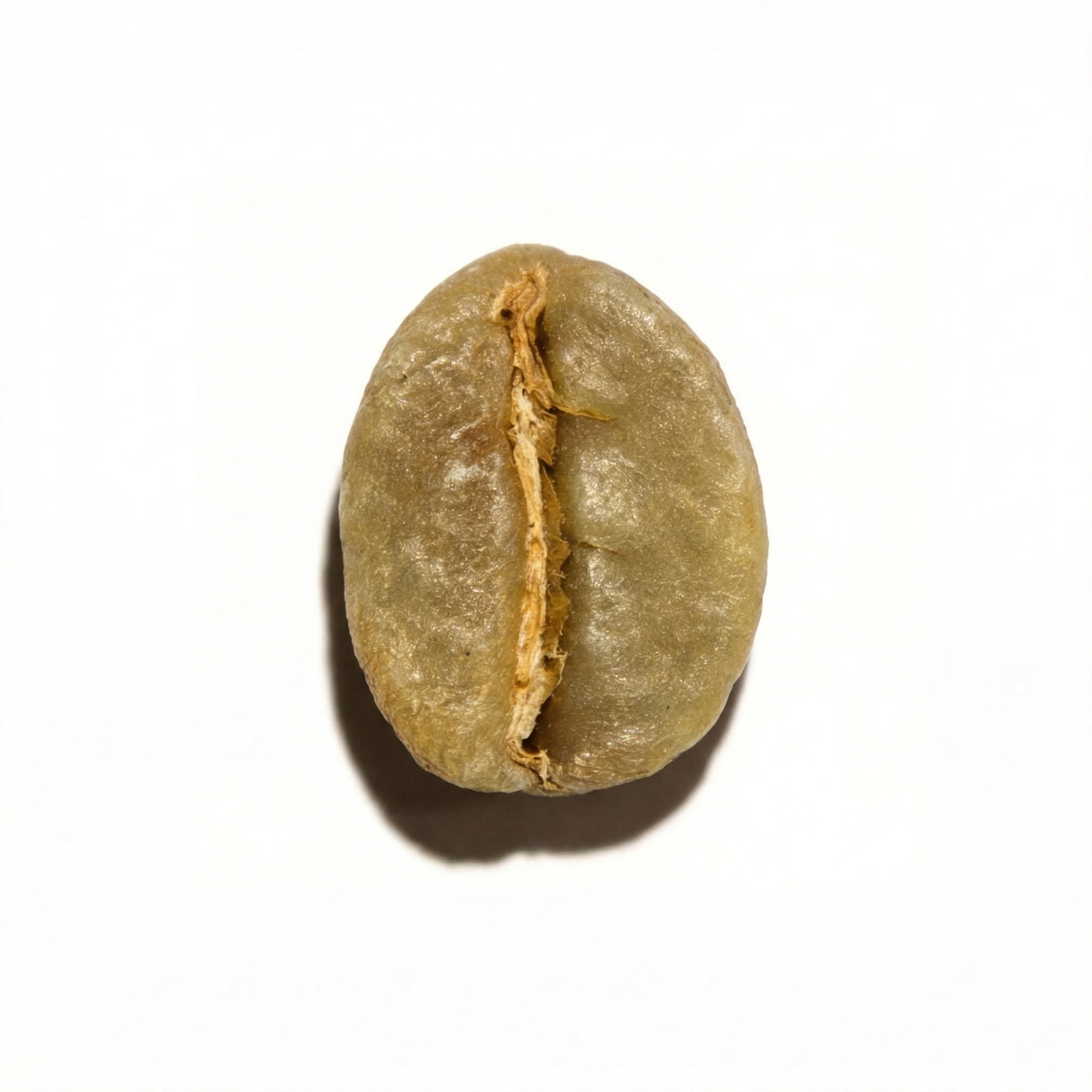 Ethiopian Yirgacheffe Rachia Washed (2025)