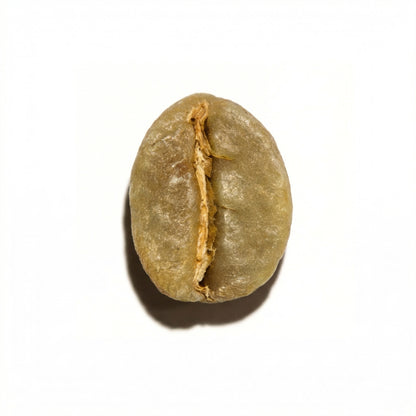 Ethiopian Yirgacheffe Rachia Washed (2025)