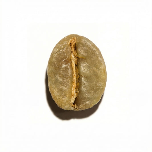 Ethiopian Yirgacheffe Rachia Washed (2025)