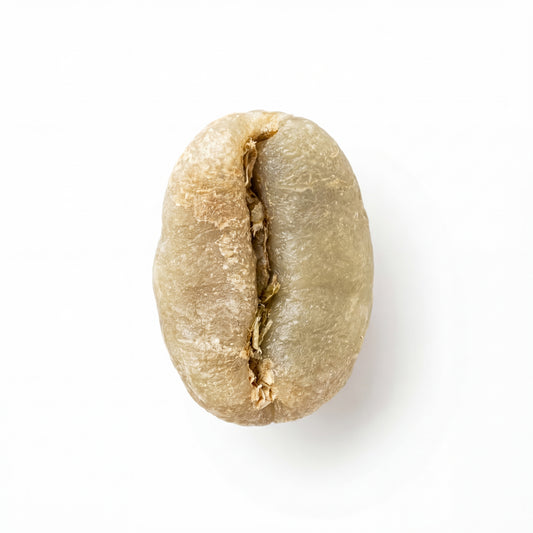 Ethiopian Yirgacheffe Rachia Washed (2024)