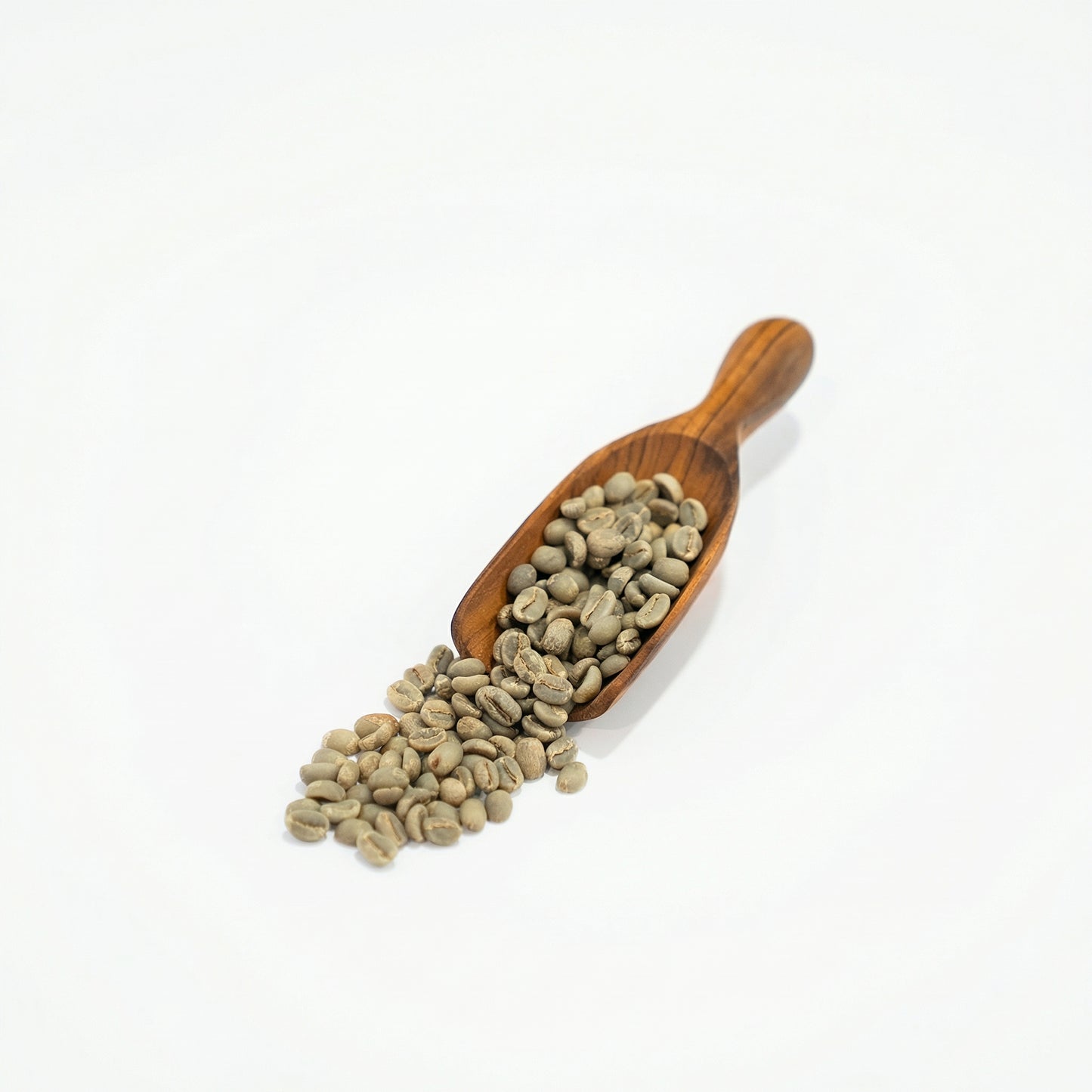 Ethiopian Yirgacheffe Rachia Washed (2024)