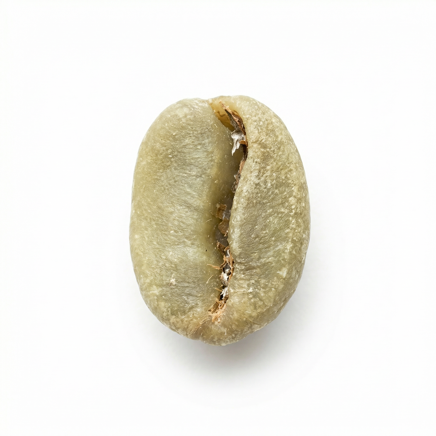 Ethiopian Yirgacheffe Tulisi (2024)