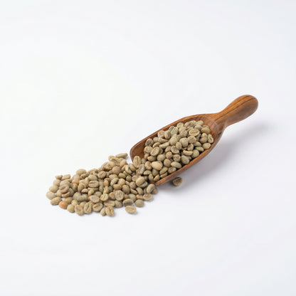 Ethiopian Yirgacheffe Tulisi (2024)